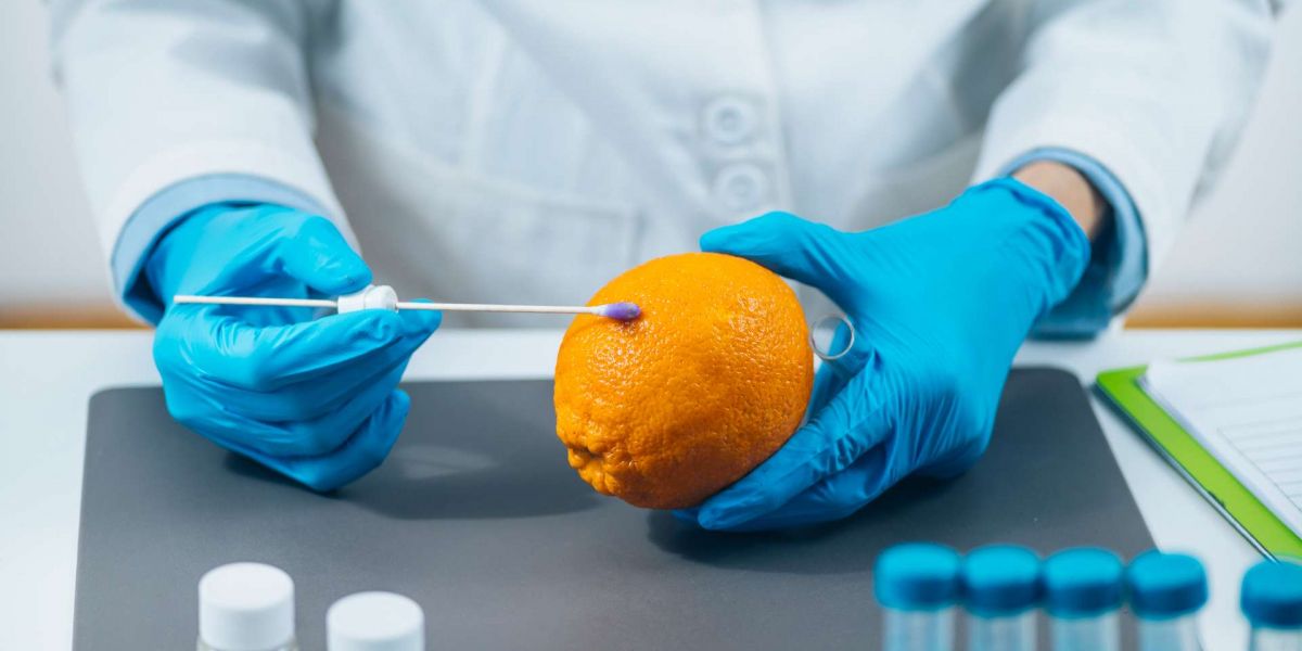 Formazione dell'alimentarista (HACCP 12 ore): addetti e Responsabili della manipolazione di alimenti e bevande 2023